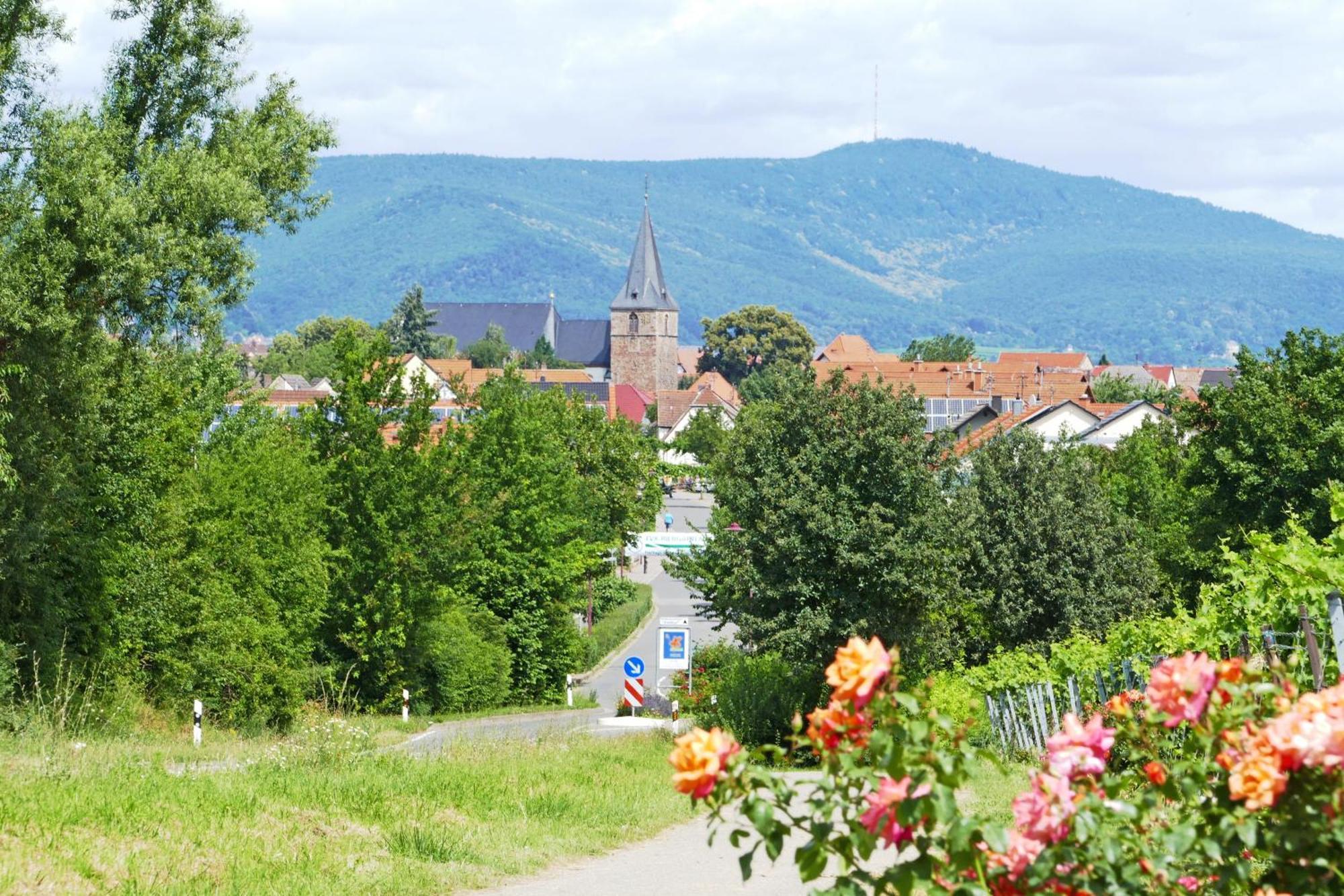 Hotel Garni Sebastian Kirrweiler  Zewnętrze zdjęcie